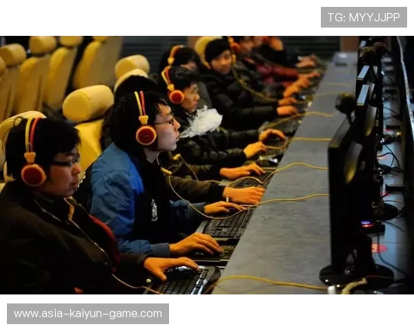 职业选手对比赛用具偏好与影响